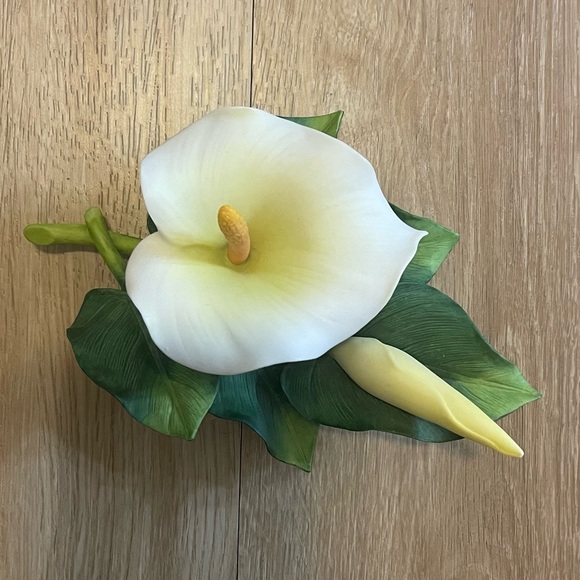 Andrea by Sadek Lily - Picture 4 of 6